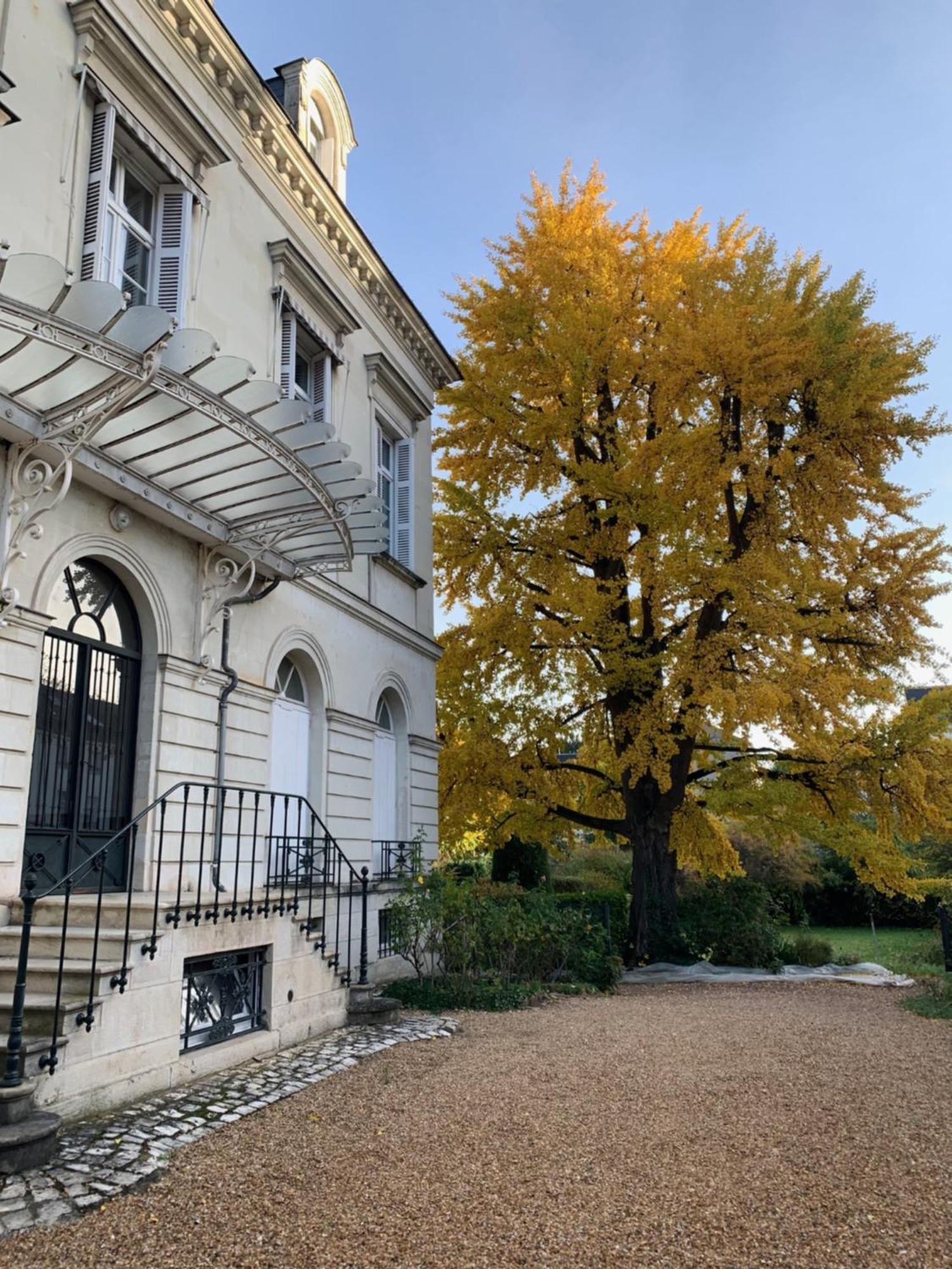 شقة A L'Abri Du Ginkgo تور المظهر الخارجي الصورة